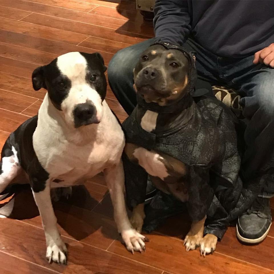 Ryder and Fathead