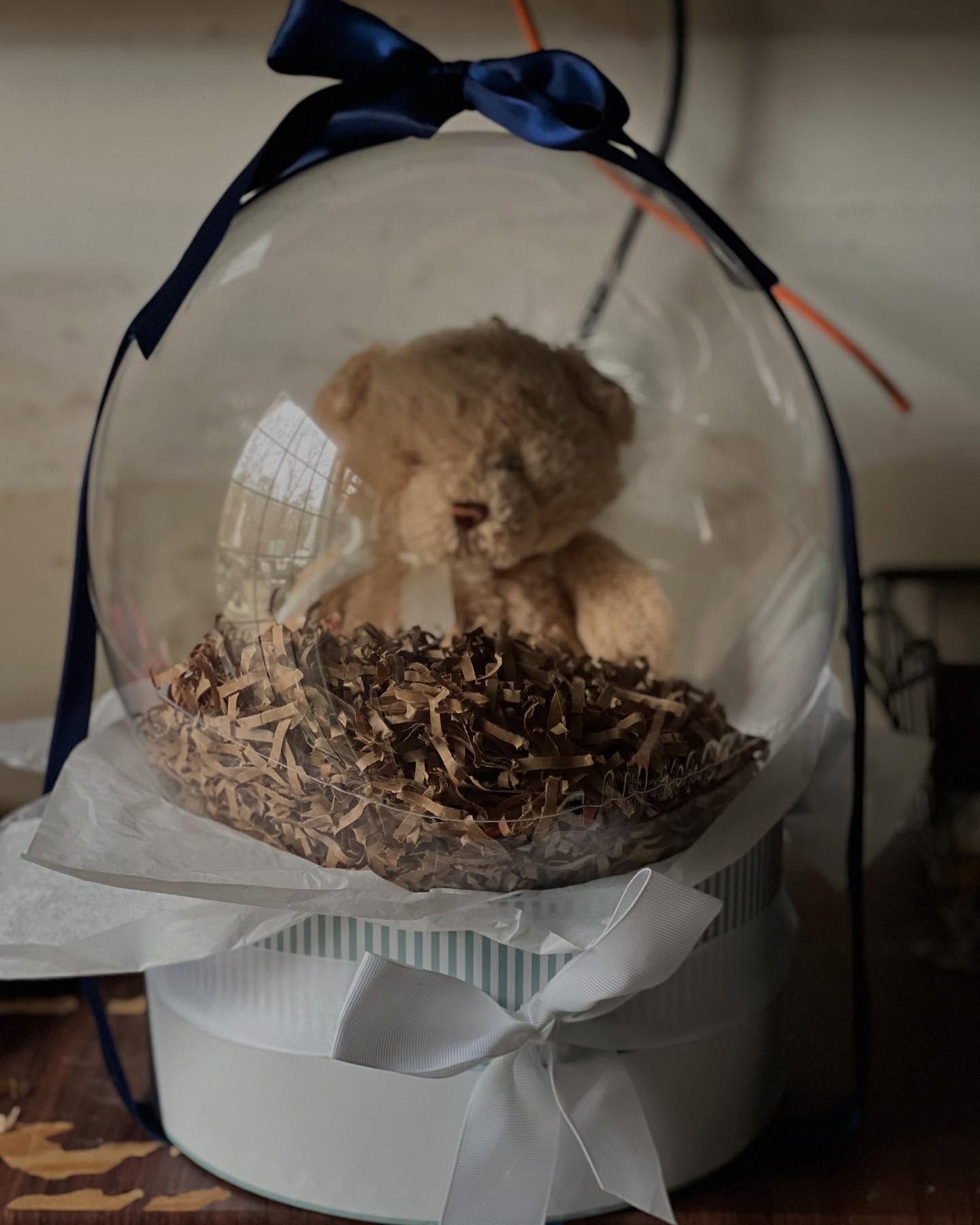Teddy bear wrapped in magic balloon dome