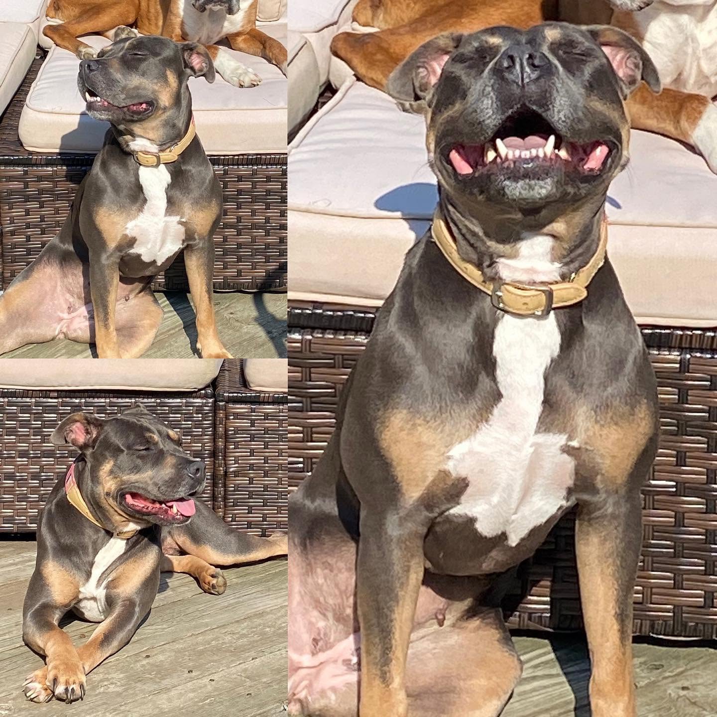 Miss Ryder outdoors